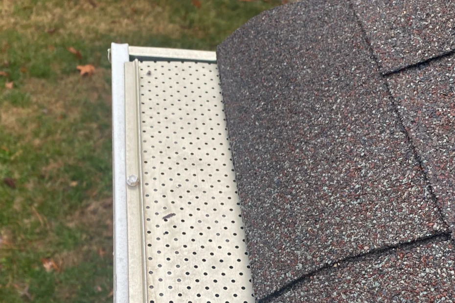 Lakeland Gutter Cleaning